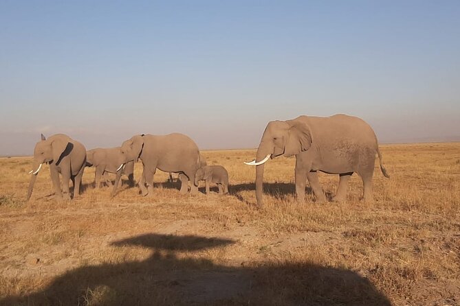 3-Days Maasai Mara unforgettable Adventure- Jeep Private Safari - Should You Book This 3-Day Maasai Mara Private Safari?