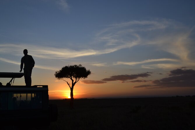 3 Days Magical Maasai Mara Private Tour - Day 1 from Nairobi to the Mara: Rift Valley views and an afternoon drive