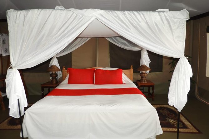 3 days Masai Mara - Key Highlights Worth Your Focus