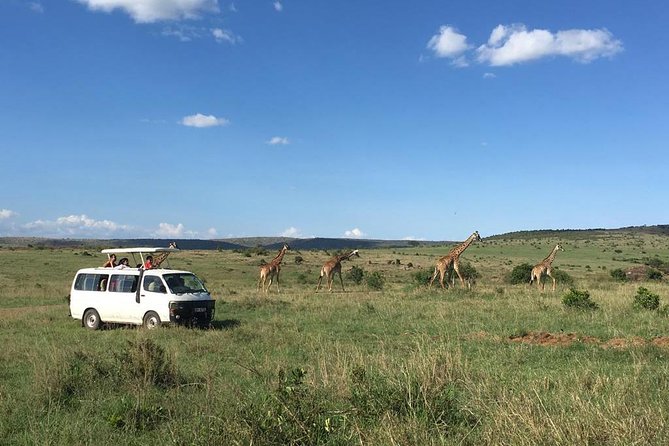 3 days Masai Mara - Maasai Mara Evening Game Drive and Sundowner Drinks