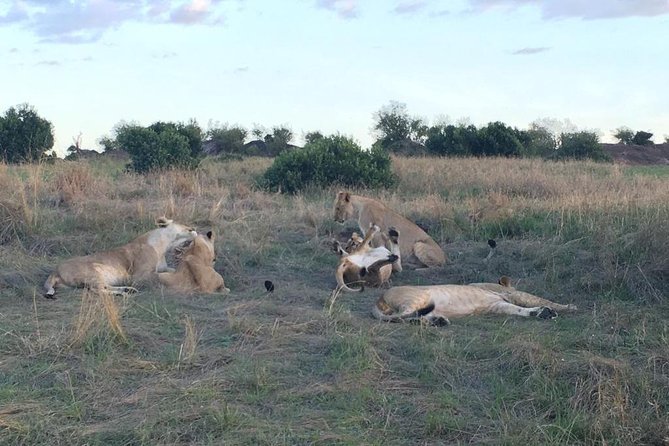 3 days Masai Mara - Mara River Time, Where the Migration Moments Get Personal