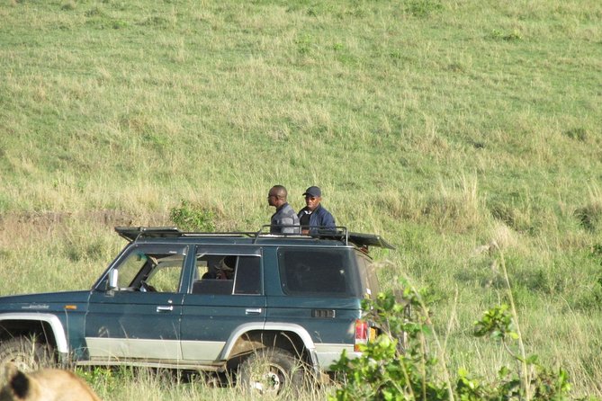 3 days Masai Mara - Day 3 Early Morning Drive for Best Light and Quiet Chances