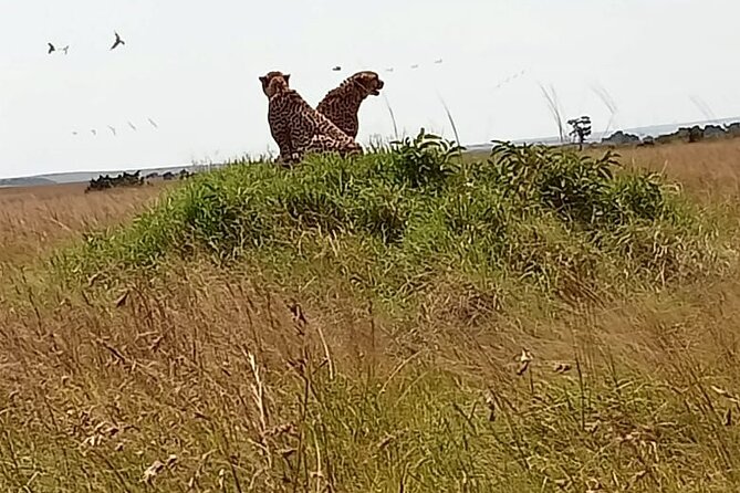 3 Days Masai Mara Budget Cruiser Shared Safari & Maasai Village - Day 1: Rift Valley viewpoints, hot lunch, and the Maasai village