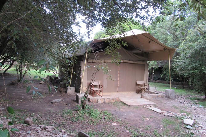 3 Days Masai Mara Budget Safari - Day 3 return to Nairobi: breakfast done right and smooth drop-offs