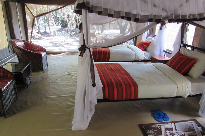 3 Days Masai Mara Budget Safari - Price and value: is $955.89 per person a good deal?