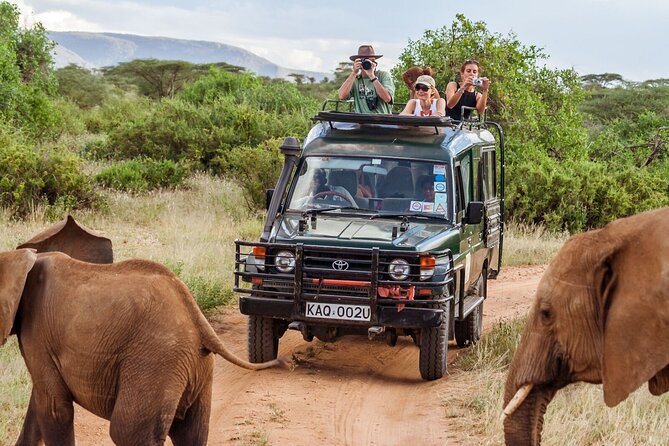 3 Days Masai Mara Budget safari Meals and accommodation included - Day 1: Maasai Mara arrival, an afternoon game drive, then Rhino Mara Camp comfort