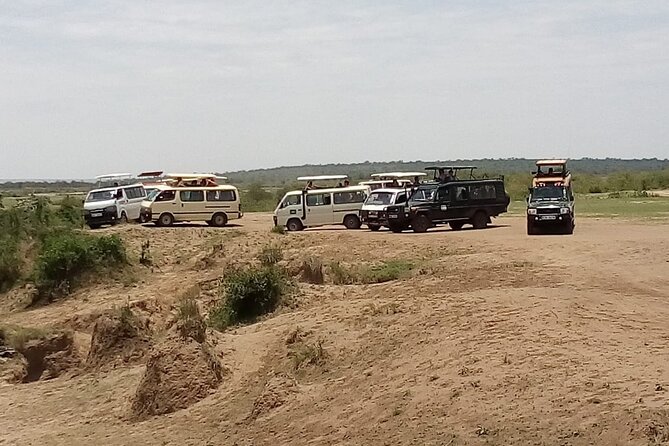 3 Days Masai Mara Budget safari Meals and accommodation included - What you’ll actually see in Masai Mara in three days