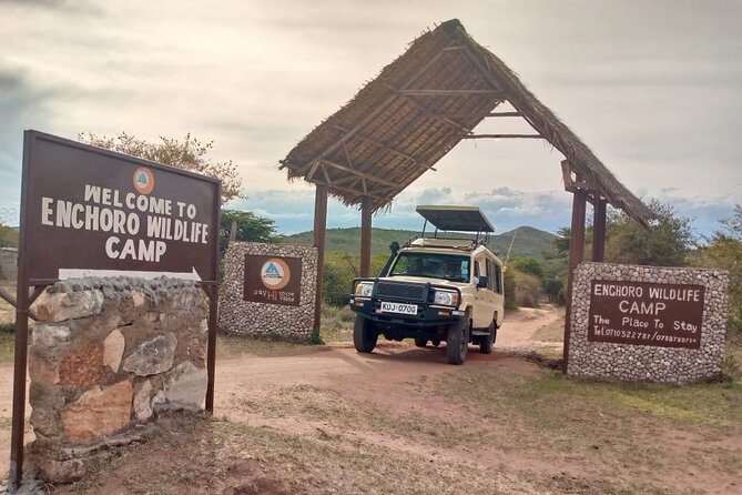 3 Days Masai Mara Budget Safari - Day 1 game drive: the Big Five push and what an afternoon session really gives you