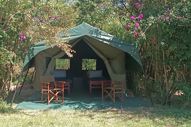 3 Days Masai Mara Camping Safari - Camping, Meals, and What’s Included (and What Isn’t)