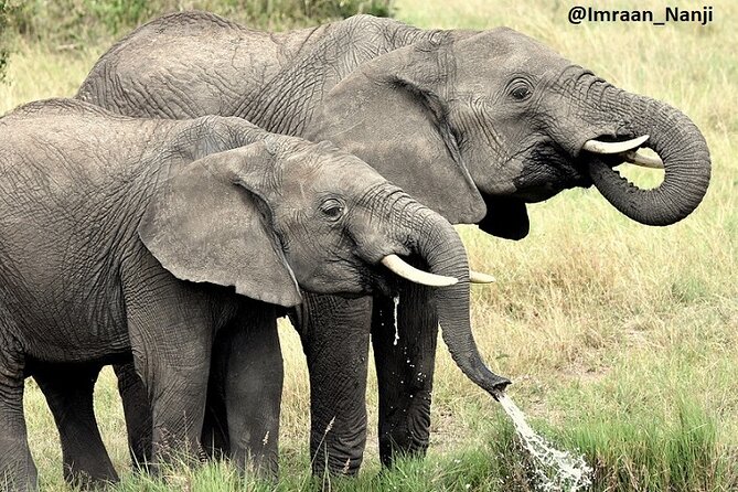 3 Days Masai Mara Camping Safari - Should You Book This 3 Days Masai Mara Camping Safari?
