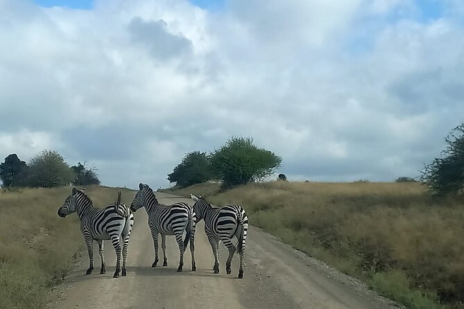 3 Days Masai Mara Experience - Small Group Size, Open-Roof Viewing, and the Guide’s Job