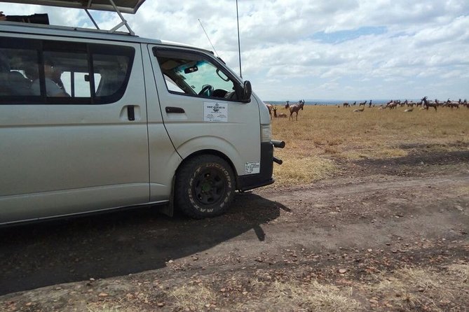 3 Days Masai Mara Joining Safari (lenchada) - Day 1 in Masai Mara Reserve: settling in and starting the spotting