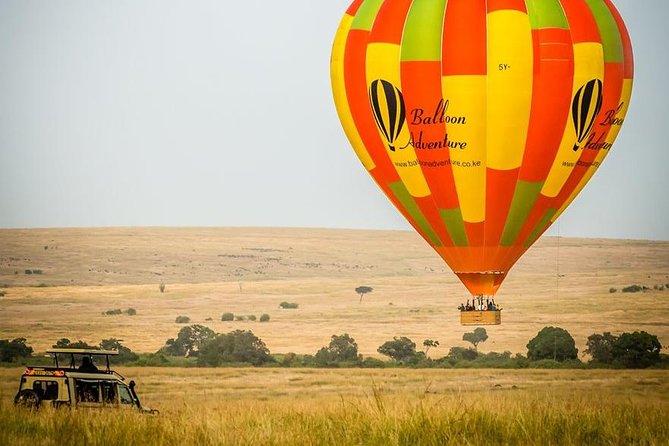 3 Days Masai Mara Joining Tour - Why Day 2 Game Drives Feel Like Your Best Chance