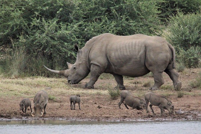 3 Days Masai Mara Joining Tour - Morning Pickup and the Drive Into Maasai Mara on Day 1