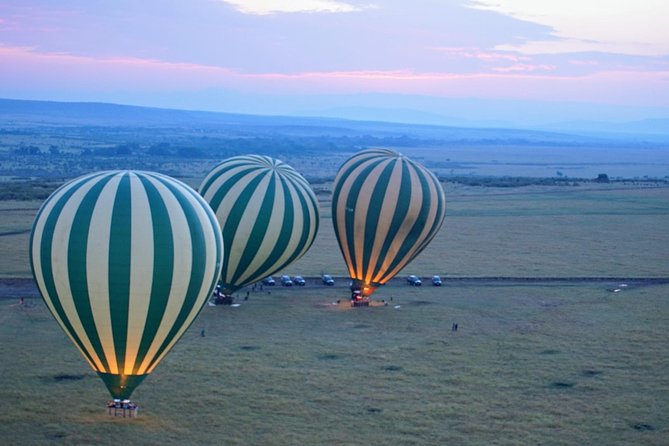 3 Days Masai Mara National Reserve Safari - Day 1: Lunch At Camp, Then A Sunset Game Drive