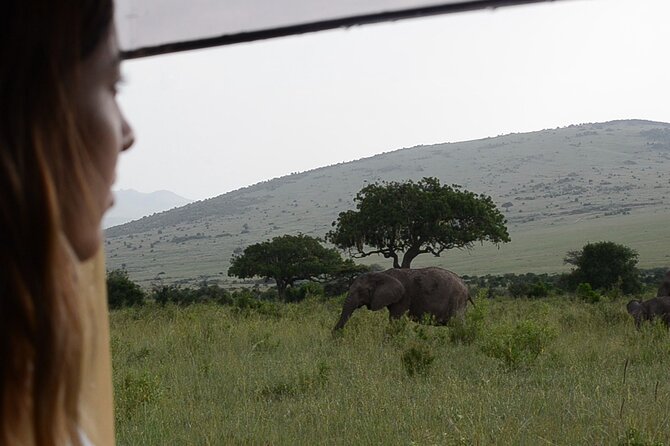 3 days Masai Mara on Private 4x4 Land Cruiser - Guides, comfort, and how to make 3 days feel like more