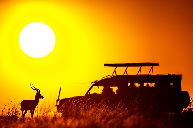 3 days Masai Mara on Private 4x4 Land Cruiser - Who this safari is best for, and who might want a different plan