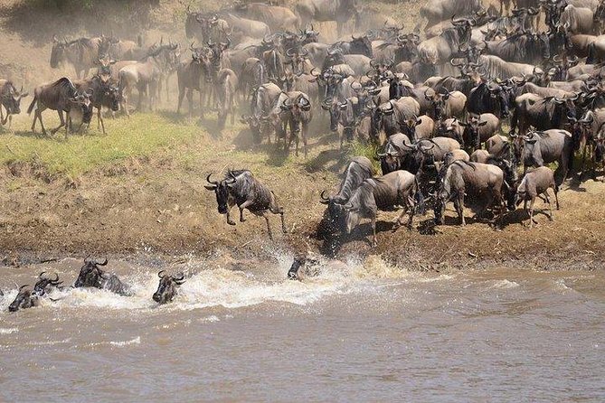 3 Days Masai Mara Private Safari at Sopa Lodge from Nairobi - Mara River time: hippos, crocodiles, and migration odds