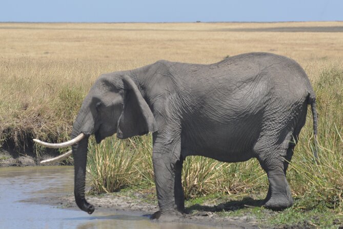3-Days Masai Mara Rhythms Safari - Key moments you’ll actually feel on this safari