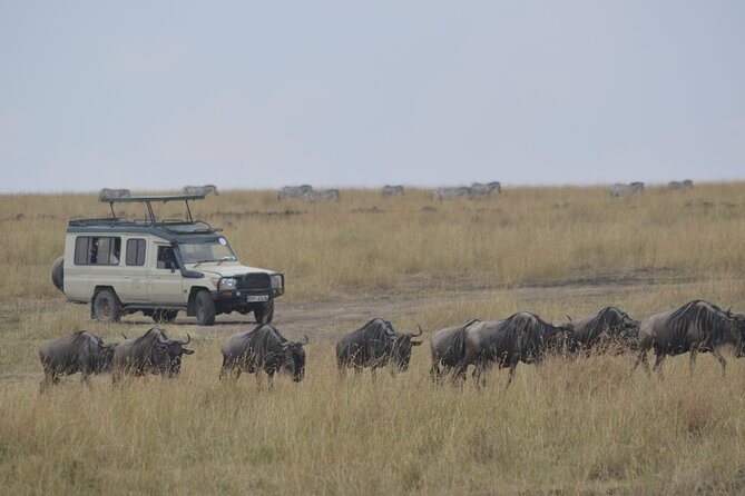 3-Days Masai Mara Rhythms Safari - Entering Maasai Mara from Nairobi: why the journey matters