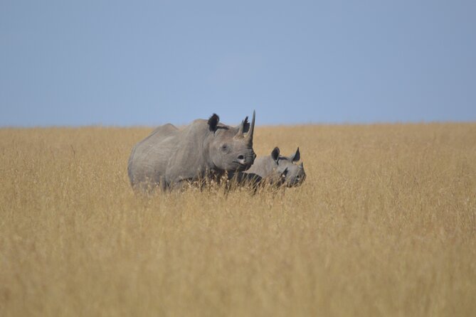3-Days Masai Mara Rhythms Safari - Small logistics that affect your day, even when they look minor