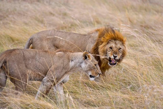 3 Days Masai Mara Safari - The parts that tend to impress most on this trip
