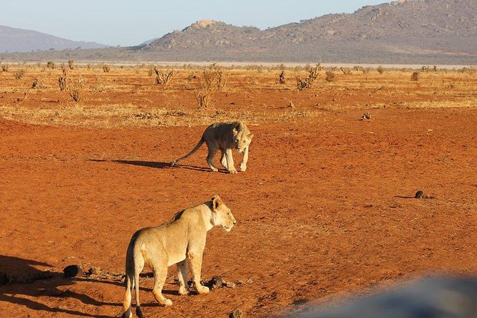 3 days Red elephant safari - Key highlights to know before you go
