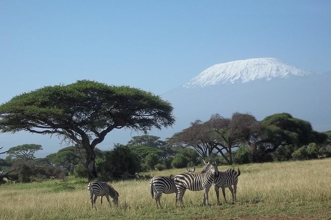 3 days Red elephant safari - One night in Tsavo East: why the overnight matters