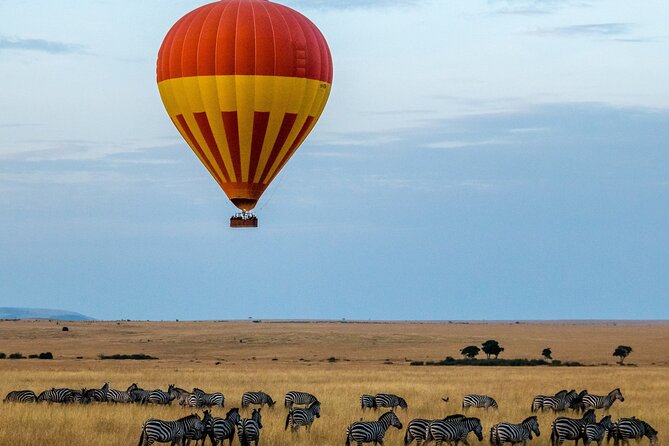 3 Days Safari Tour in Maasai Mara - Day 2 early morning drives, bush picnic lunch, and the Mara River