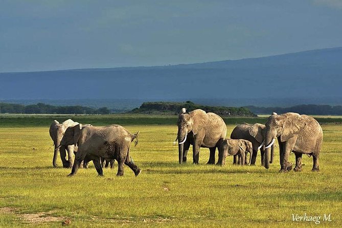 3 Days safari Tsavo East and Amboseli national park. - Day 2: Tsavo East morning, then a 5-hour transfer into Amboseli