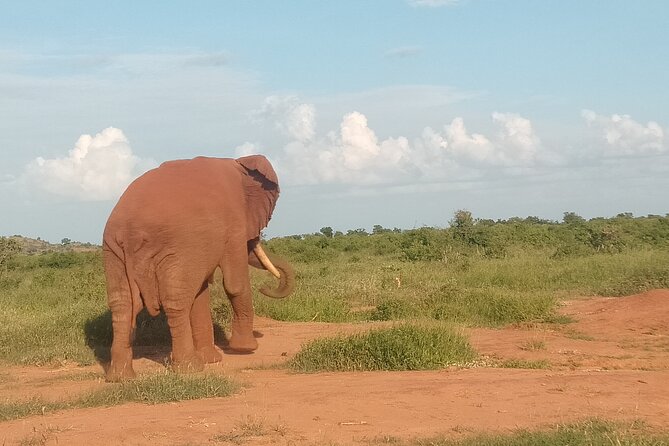 3 Days safari Tsavo East and Amboseli national park. - Logistics that affect comfort more than people think