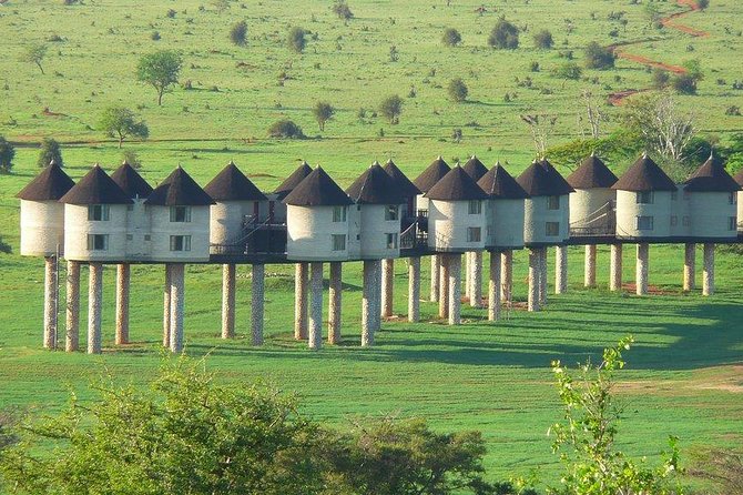 3 Days Safari Tsavo East and Taita Hills Saltlick Lodge - Key highlights worth your attention
