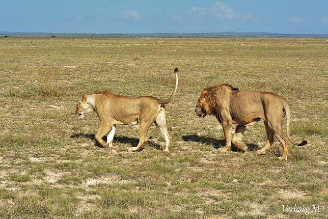 3 Days Safari Tsavo East and Taita Hills Saltlick Lodge - From Diani Beach to Tsavo East: how Day 1 sets the tone