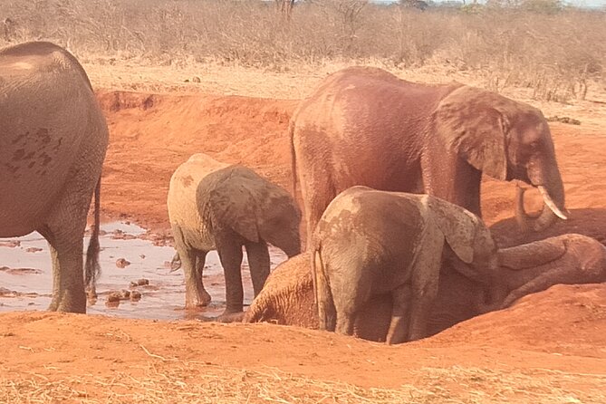 3 days safari Tsavo East and West - The dawn-to-lodge Day 1 drive from Diani to Tsavo East