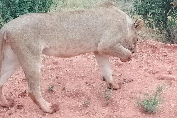 3 days safari Tsavo East and West - Price and value for $850 per person