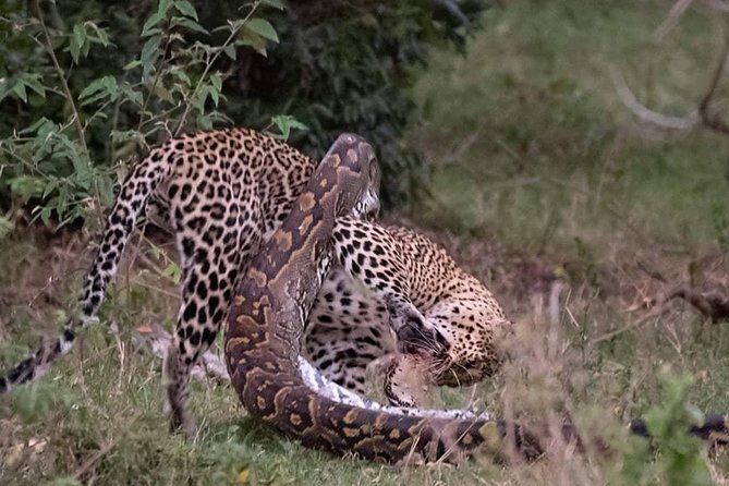 3 Days to Maasai Mara N/R. - Key things that make this Maasai Mara safari tick