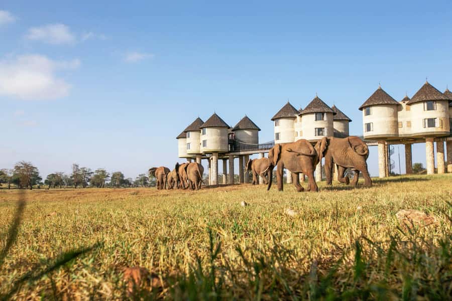 3 days Tsavo East and Saltlick safari from Diani/Mombasa - Day 1 From Mombasa or Diani to Tsavo East, Aruba Dam and Your First Big-Game Hours