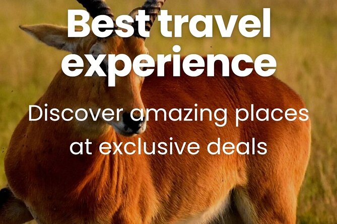 3 Days Unforgettable Masai Mara Safari Tour - Day 2: sunrise-to-sunset game drives and a picnic break