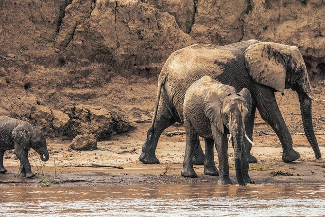 3 nights exclusive Masai Mara safari - Masai Mara Game Drives: Crossing Points, Wildlife Corridors, and Long Days