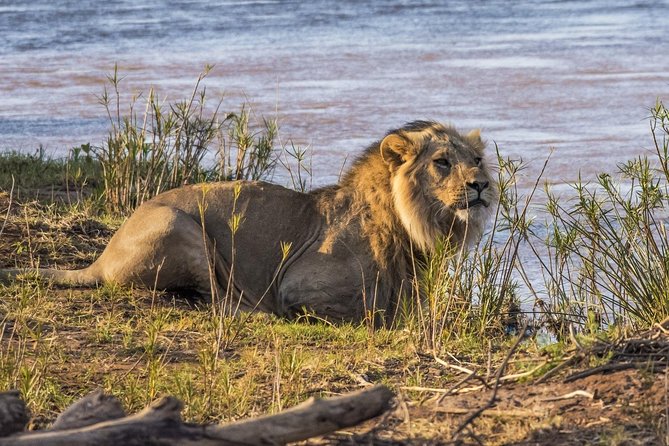 3 nights exclusive Masai Mara safari - How the Days Fit Together: 3 Nights, Meals Included, and a Calm Rhythm