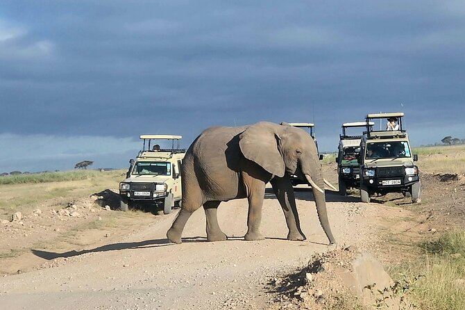 3day Amboseli Park Private safari - Guides matter most: Kelvin and Douglas as examples of the right skillset
