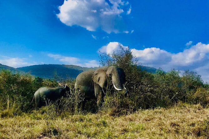 3days/2nights group joining Masai Mara with Masai Village Visit - Day 2: Two wildlife-heavy days, including Mara River time