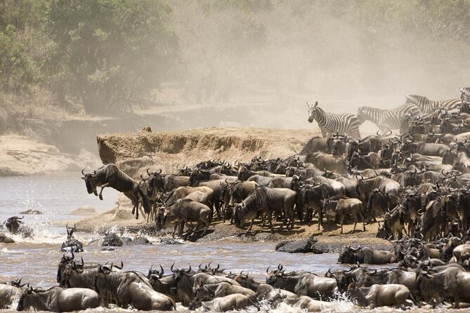 3days/2nights group joining Masai Mara with Masai Village Visit - Tips, packing, and timing that make the day feel easier
