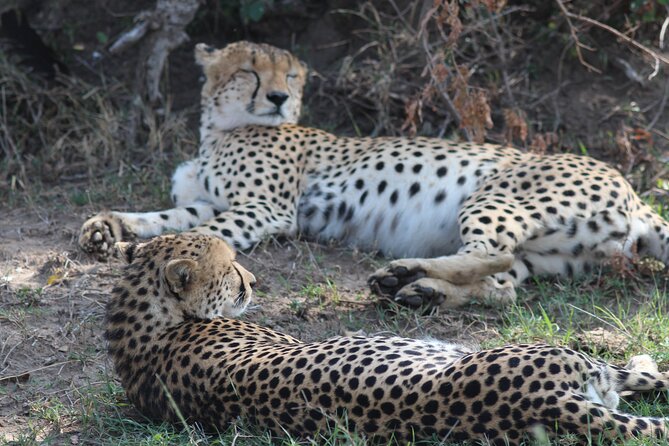 3days Masai Mara private safari with a 4x4 land cruiser Jeep - Optional Masai Village Visit: Adding Culture Without Turning It Into a Show