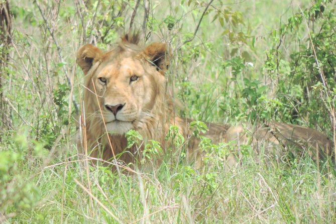 4-Day Adventure to Lake Nakuru & Maasai Mara - Starting in Nairobi: the 7:30 am kickoff and why it matters