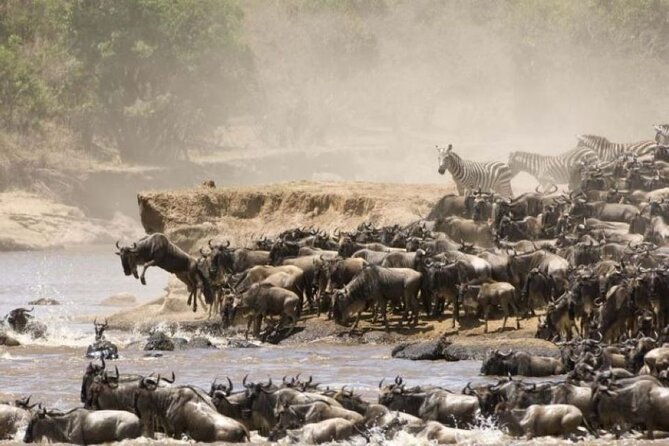 4-Day Group Safari to Maasai Mara & Lake Nakuru- 4 x 4 jeep - Day 1 in Maasai Mara: check in, then a classic late afternoon drive