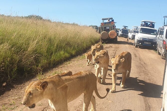 4 Day Group Tour to Maasai Mara and Lake Nakuru by a 4WD Cruiser - Day 4 Lake Nakuru National Park: White Rhinos, Pink Flamingo Chances, and Makalia Waterfalls