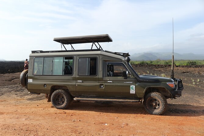 4-Day Maasai Mara and Lake Nakuru Safari from Nairobi - Day 4: Final Game Drive at Lake Nakuru, Then Back to Nairobi
