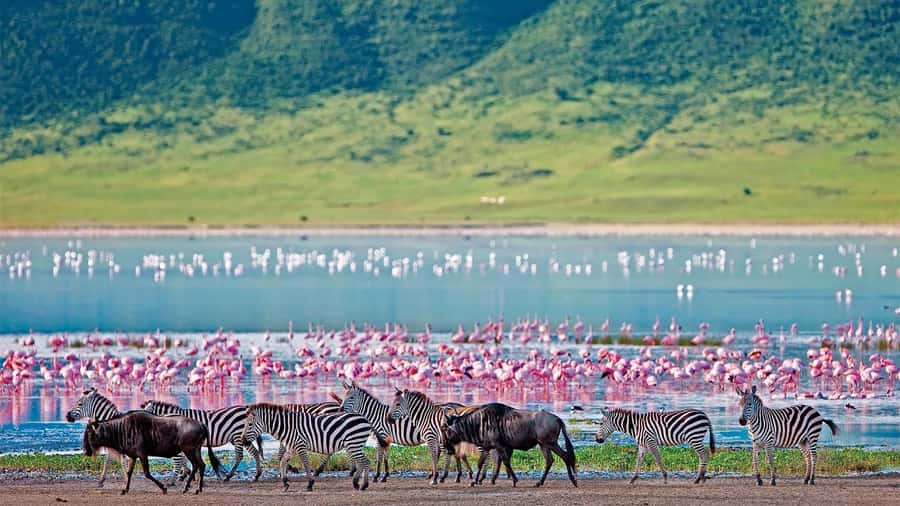 4-Day Masai Mara and Lake Nakuru Safari - Entering Maasai Mara via the Great Rift Valley on Day 1