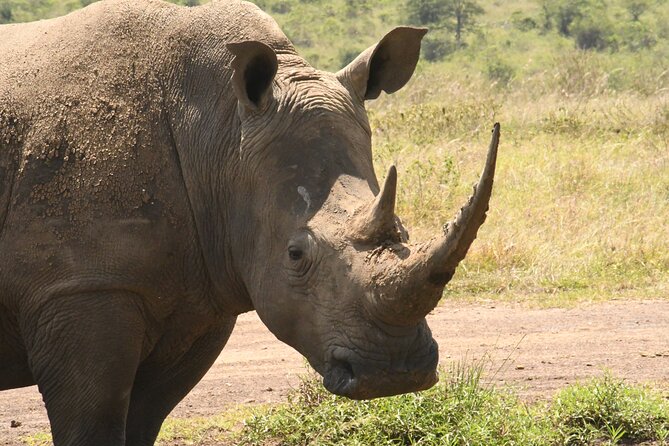 4-Day Masai Mara and Lake Nakuru safari from Nairobi. - Price and real value: what you pay, what you avoid, and what you should budget for